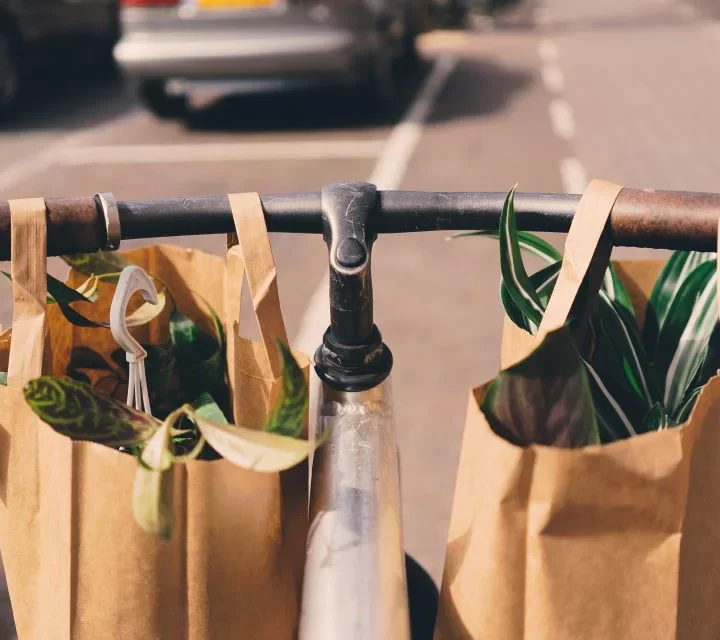 How Do Reusable Bags Help Businesses?