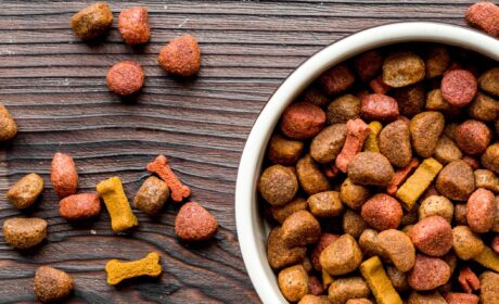 Do you want the best food for your pet? Then choose high -quality PET Food Processing!